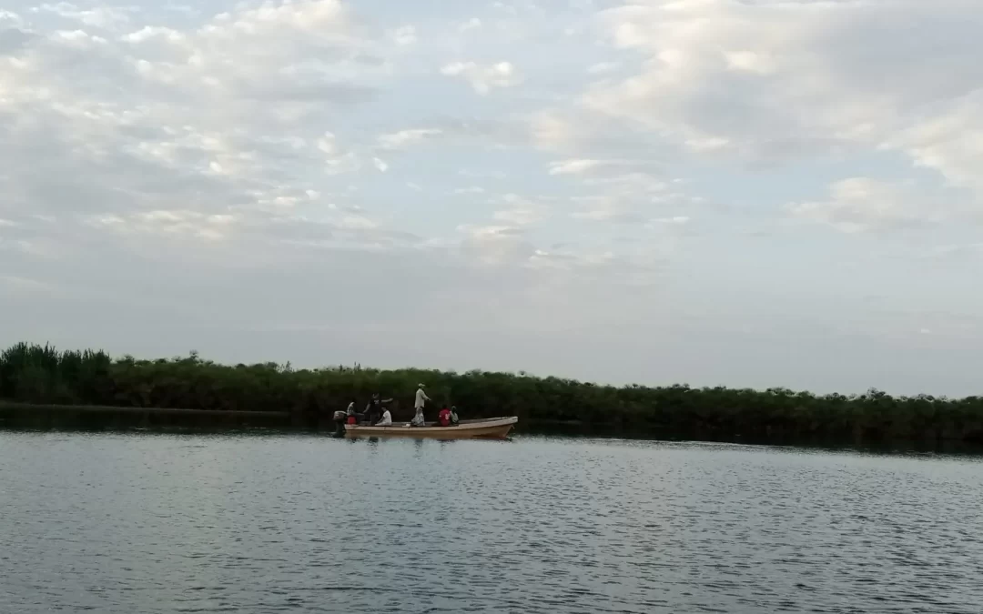 Cruise of River Nile